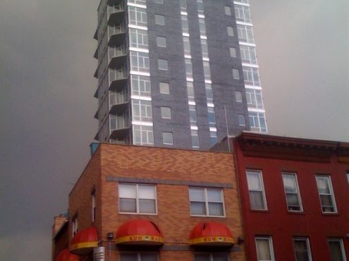 23-04-2010  Myrtle and Washington