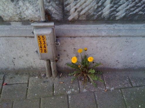 19-03-2009  'Back in Antwerp'. Wall Magasins La Cloche, Hessenplein