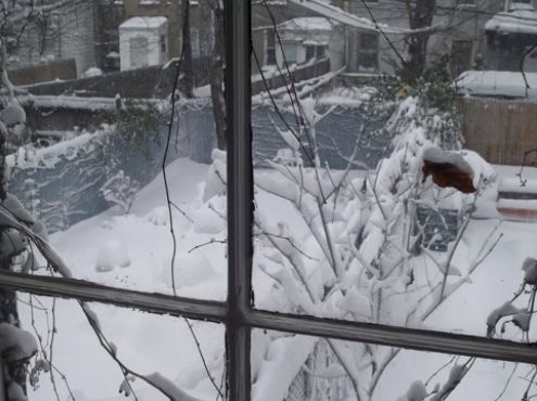 26-02-2010  Snow in New York